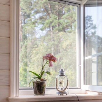 window glass and screen