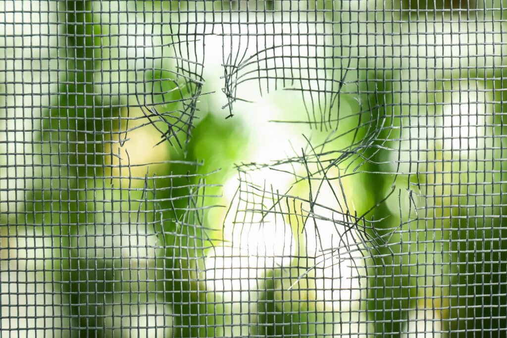 damaged window screen with a large tear