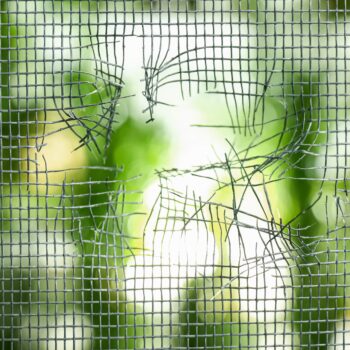 damaged window screen with a large tear