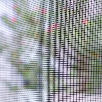 Closeup of a window screen overlooking a residential yard.